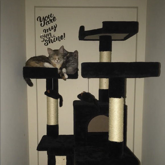 Meet your Posher, Christy - Picture 8 of 9